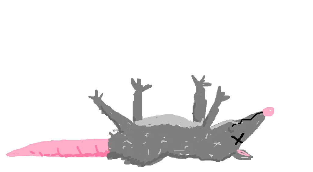 Roadside Fellas, written above a dead rat lying on its back